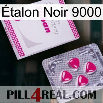 Étalon Noir 9000 32